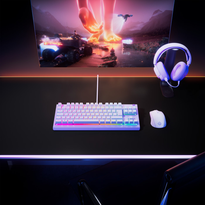 SteelSeries Apex 3 TKL Lavender QWERTZ product in use