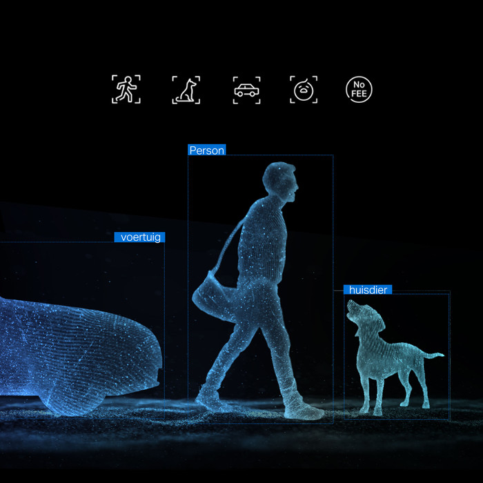 TP-Link Tapo C246D visueller lieferant