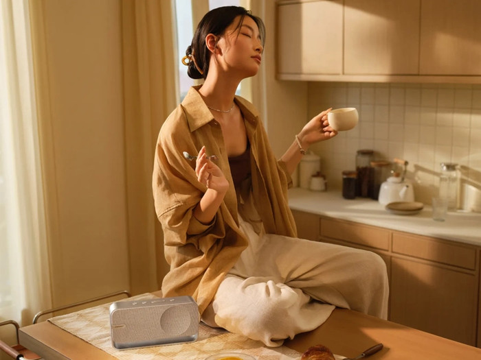 Bose SoundLink Home Speaker Silver product in use