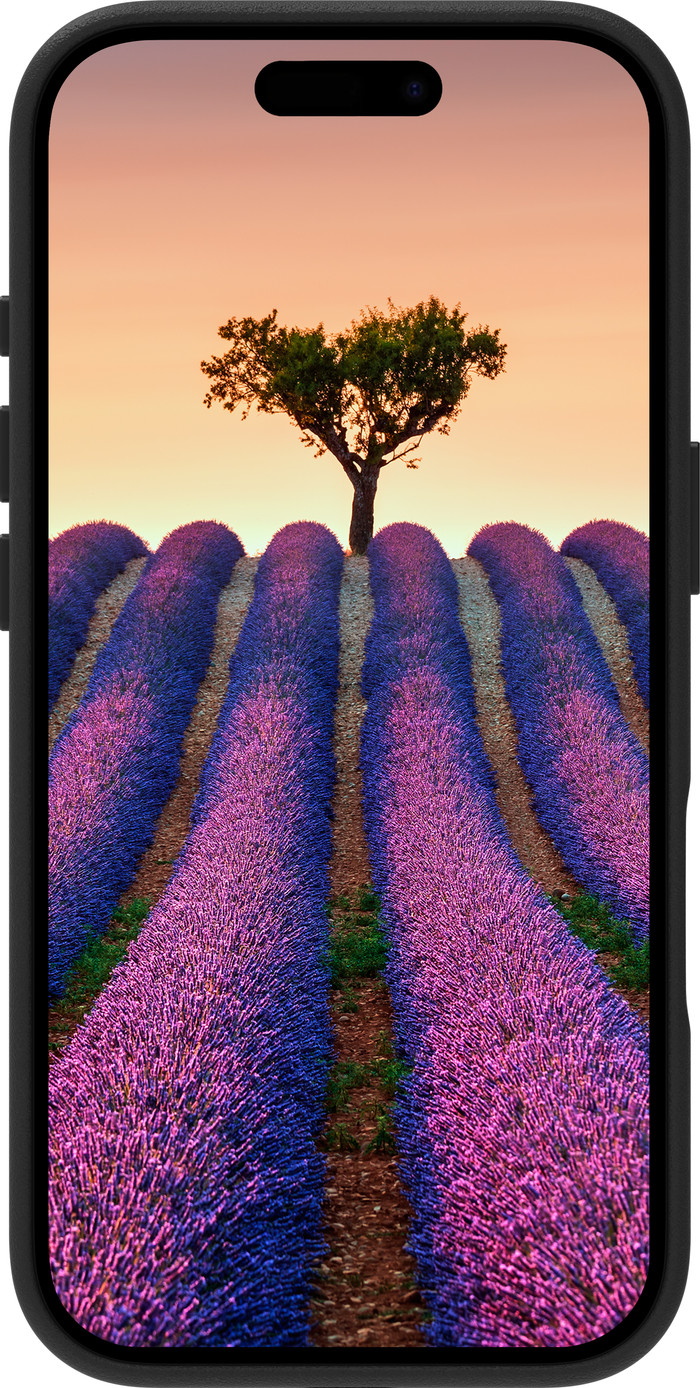 DBramante1928 Roskilde Apple iPhone 17 Backcover mit MagSafe Leder Schwarz vorne