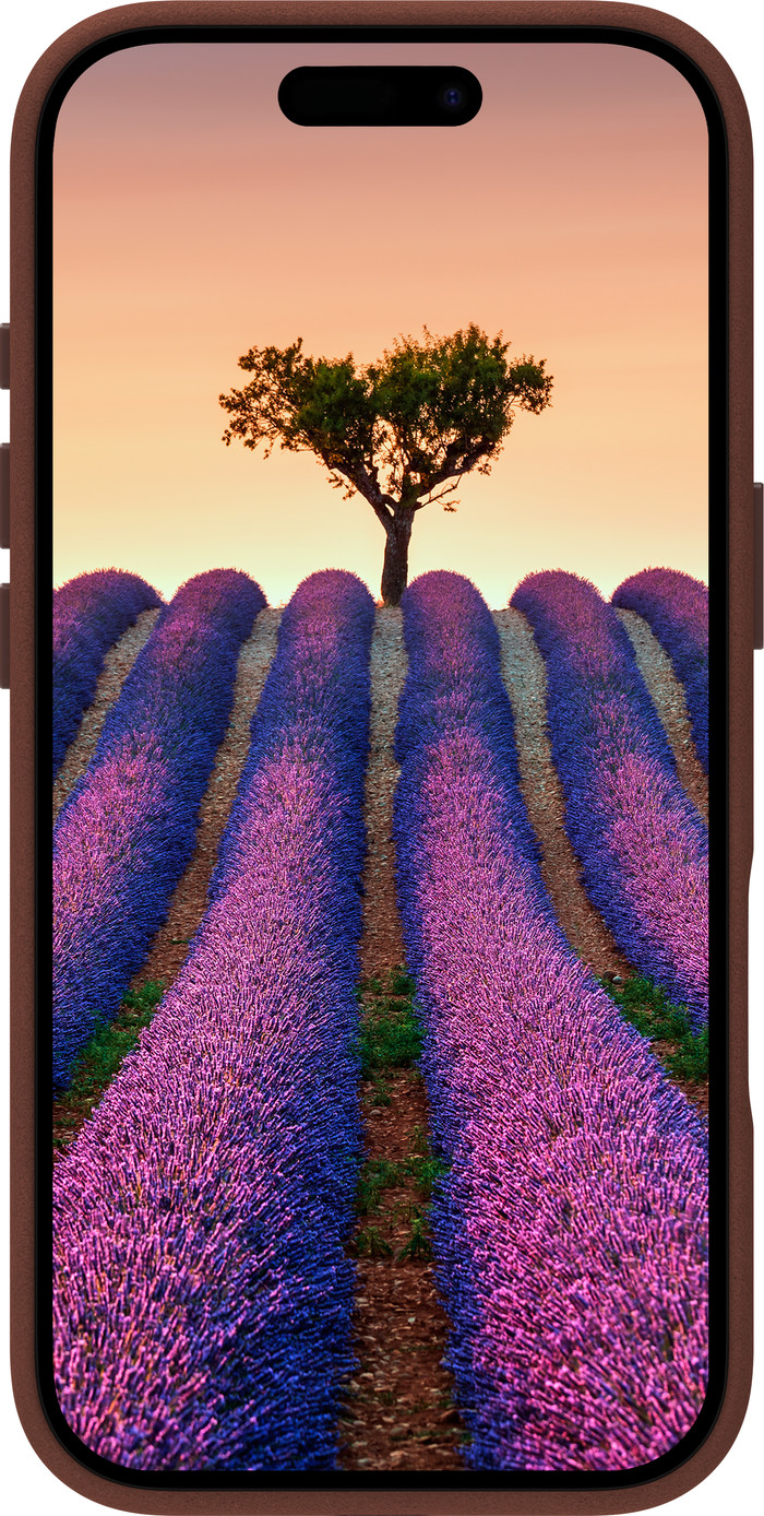 dbramante1928 Roskilde Apple iPhone 17 Back Cover with MagSafe Leather Brown front