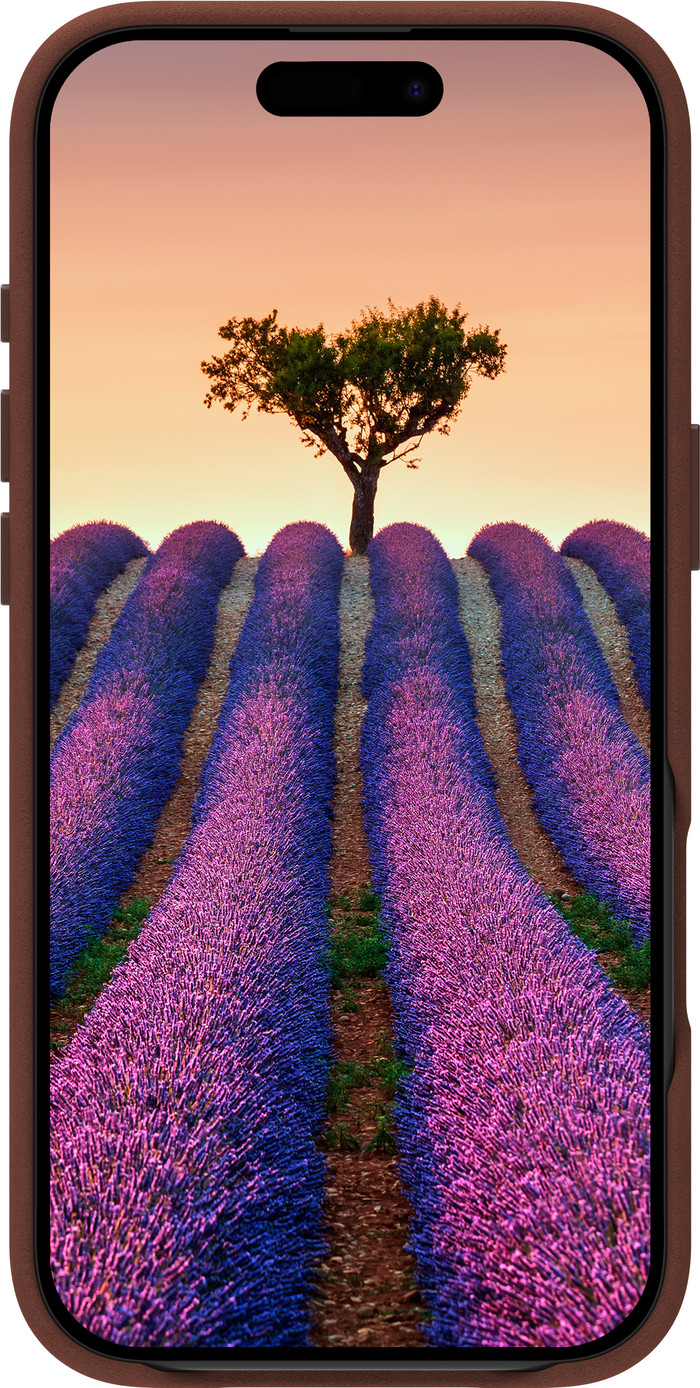 dbramante1928 Roskilde Apple iPhone 17 Air Back Cover with MagSafe Leather Brown front