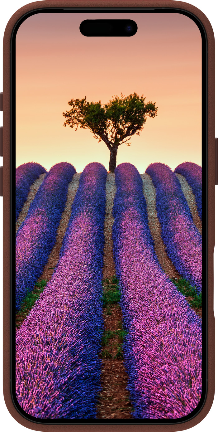 dbramante1928 Roskilde Apple iPhone 17 Pro Back Cover with MagSafe Leather Brown front