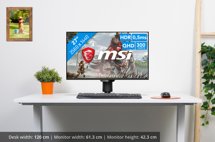 MSI MAG 274QPFDE X30MV visual Coolblue 1
