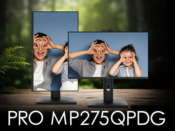 MSI PRO MP275QPDGDE visueller lieferant