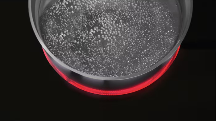 AEG TO64RAA7XB detail