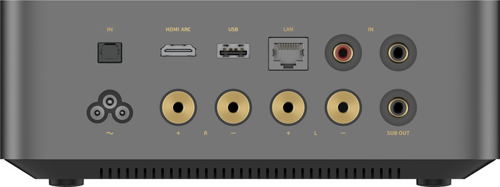 WiiM Amp Ultra Grau rückseite