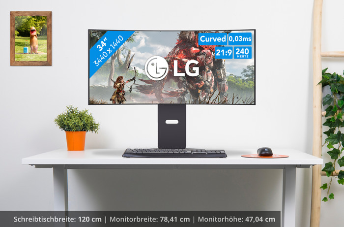 LG UltraGear OLED 34GX900A-B visuelles Coolblue 1