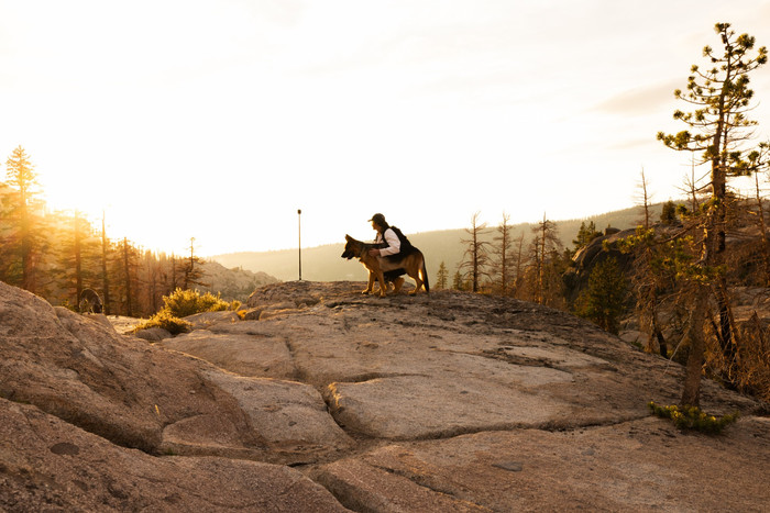 GoPro Tripod + Ball Head product in use