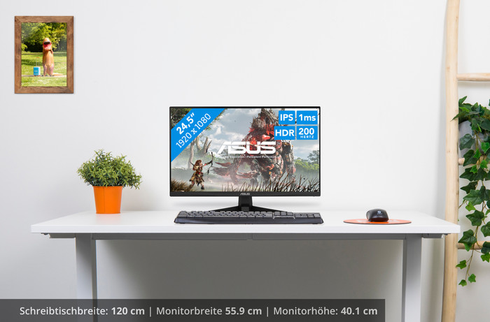 ASUS TUF Gaming VG259Q5A visuelles Coolblue 1