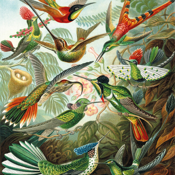 Philips Senseo Original Plus Limited Edition visueller lieferant