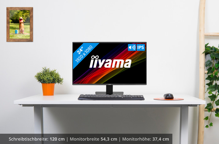 iiyama ProLite X2492HSU-B1 visuelles Coolblue 1