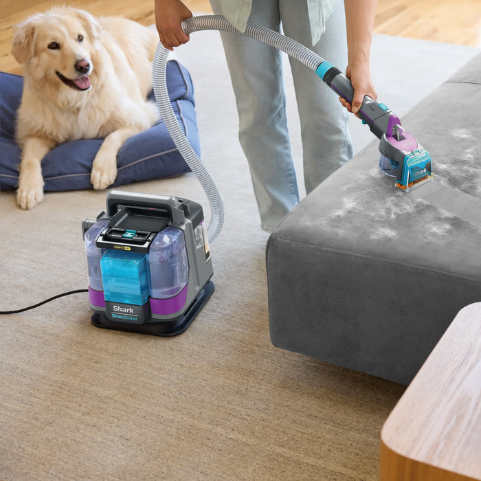 Shark StainStriker HairPro Pet PX250EUT product in use
