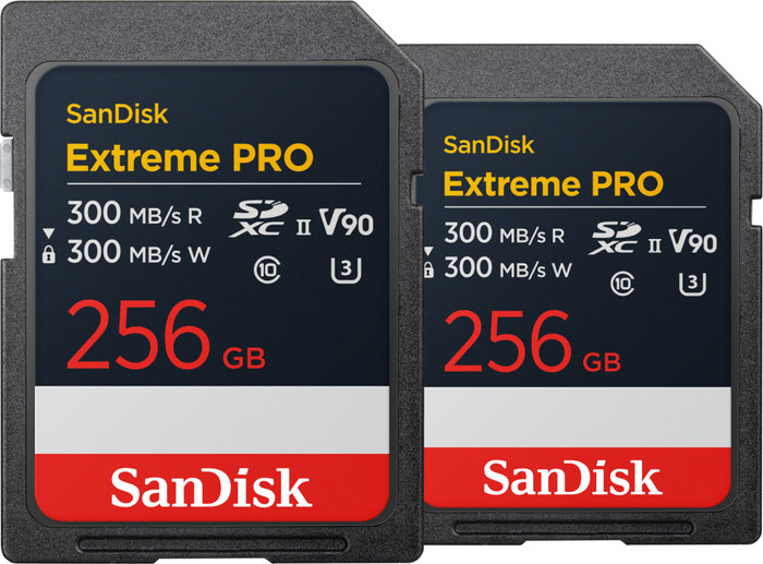 SanDisk microSDXC Extreme 256GB 130 MB/s Doppelpack Main Image