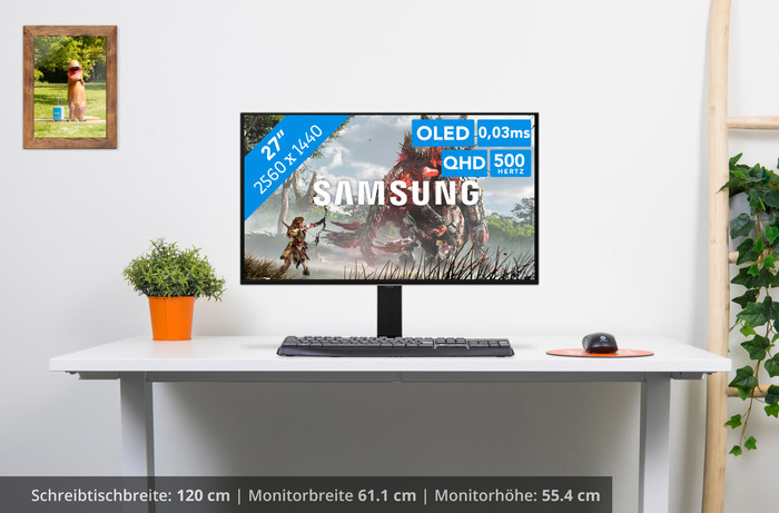 Samsung Odyssey OLED G60SF LS27FG602SUXEN visuelles Coolblue 1