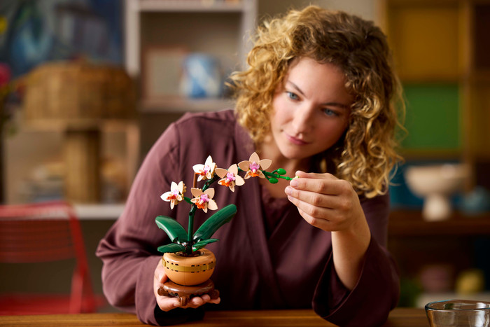 LEGO Botanicals Mini-Orchidee 10343 produkt in gebrauch