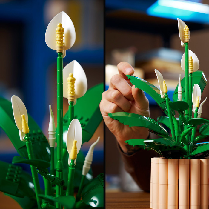 LEGO Botanicals Friedenslilie 11504 produkt in gebrauch