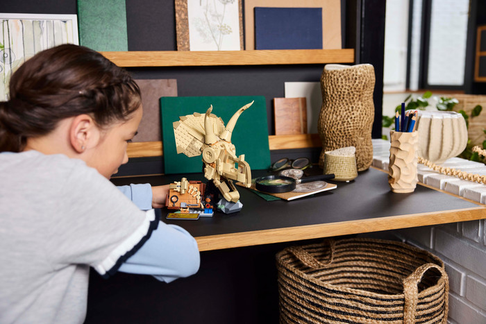 LEGO Jurassic World Dinosaurier-Fossilien: Triceratops-Schädel 76969 produkt in gebrauch