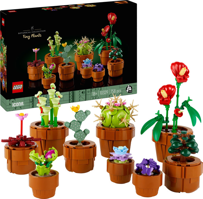 LEGO Botanicals Mini Pflanzen 10329 rechte seite
