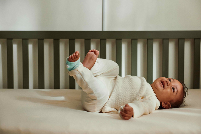 Owlet Dream Duo Dusty Rose OW-DSDUO-RO product in use