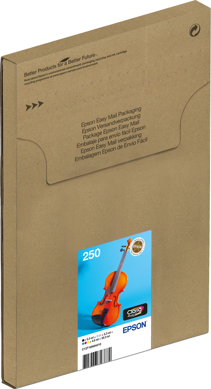 Epson Multi-pack 6 Colors 250 Ink Easymail Main Image