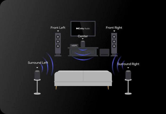 WiiM Sound Lite Black visual supplier
