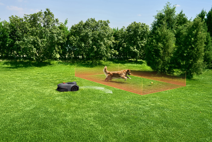 Mova ViAX 250 visueller lieferant