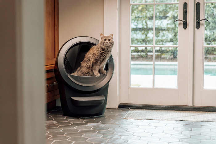 Whisker Litter-Robot 4 Schwarz produkt in gebrauch