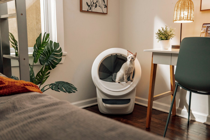 Whisker Automatisches Katzenklo Litter-Robot 4 Weiß produkt in gebrauch