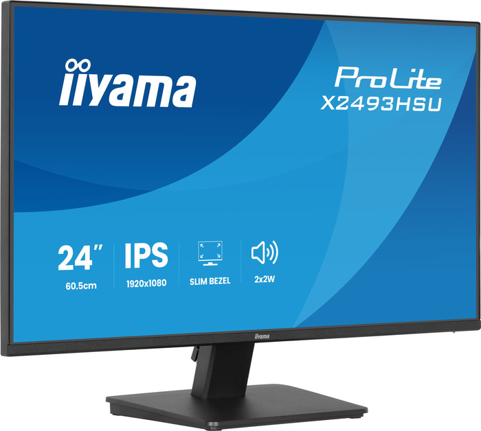 iiyama ProLite X2493HSU-B1 vorne