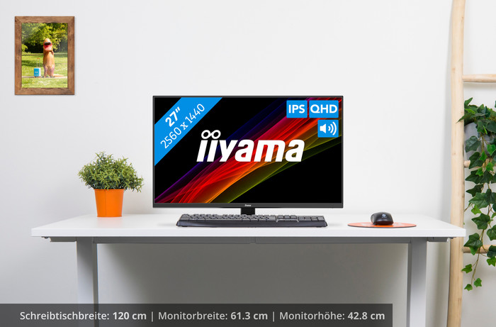 iiyama ProLite X2793QSU-B1 visuelles Coolblue 1