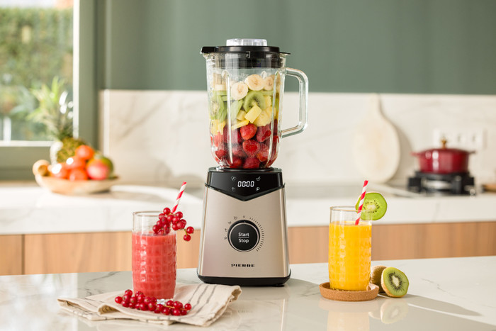 Pierre Standmixer BL5000 innen