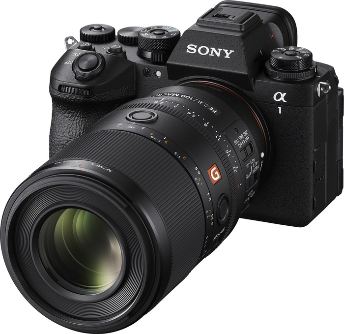 Sony FE 100mm f/2,8 Makro GM OSS produkt in gebrauch