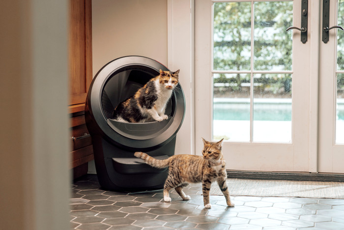 Whisker Litter-Robot 4 Schwarz produkt in gebrauch