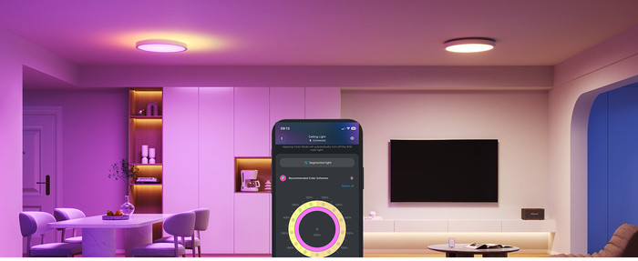 Govee Ceiling Light 12 inches product in use