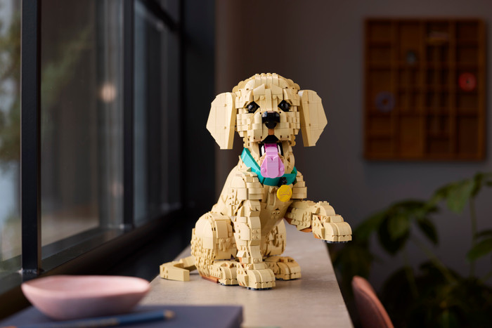 LEGO Icons Golden Retriever Welpe 11384 produkt in gebrauch