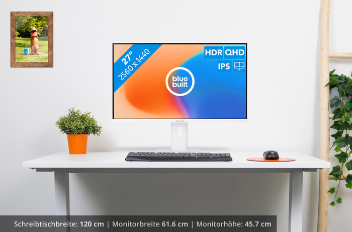 BlueBuilt 27 Zoll Quad HD Monitor visuelles Coolblue 1