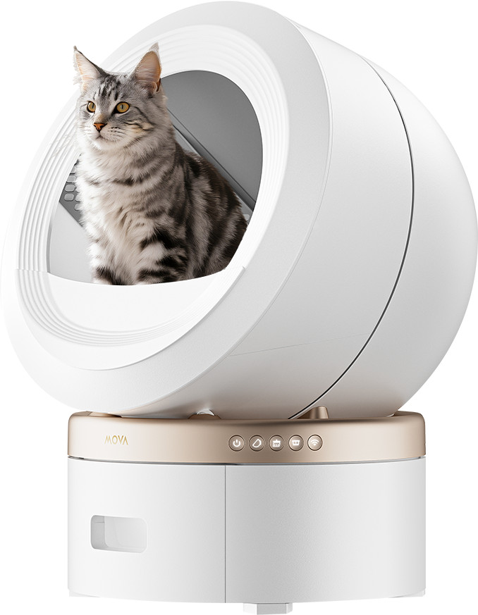 Mova Automatisches Katzenklo LR10 Prime Weiß produkt in gebrauch