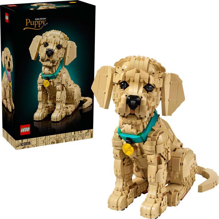 LEGO Icons Golden Retriever Welpe 11384 rechte seite