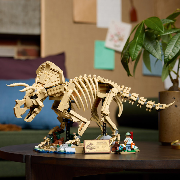 LEGO Jurassic World Dinosaur Fossils Triceratops 77985 product in use