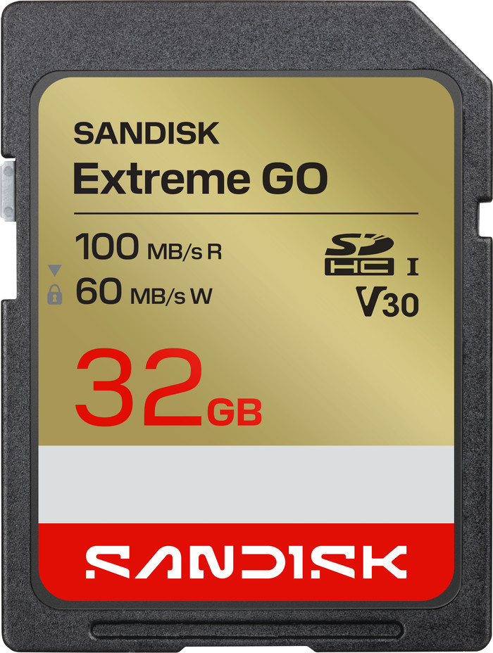 SANDISK Extreme GO SDHC 32GB 100 MB/s Main Image