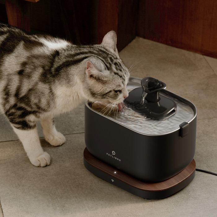 Petlibro Trinkbrunnen mit App PLWF105 Schwarz produkt in gebrauch