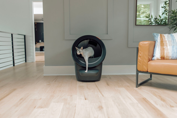 Whisker Litter-Robot 4 Schwarz produkt in gebrauch
