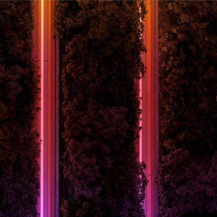 Philips Hue Omniglow LED strip Outdoor 10 meters product in use