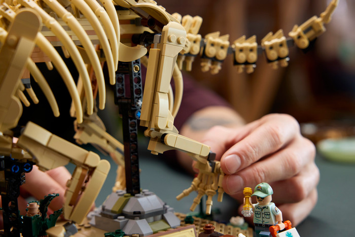 LEGO Jurassic World Dinosaur Fossils Triceratops 77985 product in use