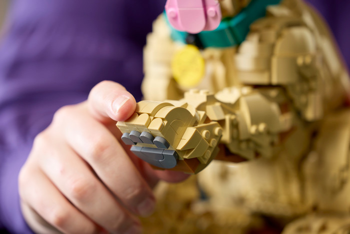 LEGO Icons Golden Retriever Welpe 11384 produkt in gebrauch