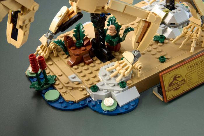 LEGO Jurassic World Dinosaur Fossils Triceratops 77985 product in use