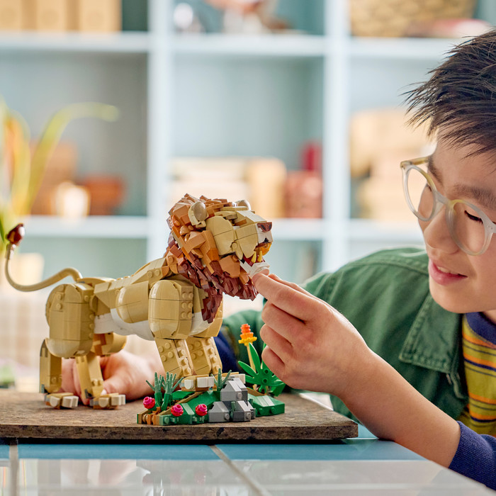LEGO Creator 3-in-1-Sets Wilde Tiere: Majestätischer Löwe 31386 produkt in gebrauch
