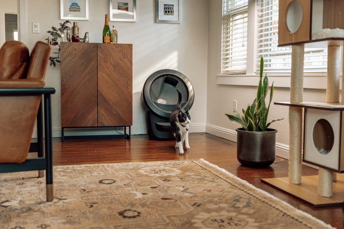 Whisker Litter-Robot 4 Schwarz produkt in gebrauch