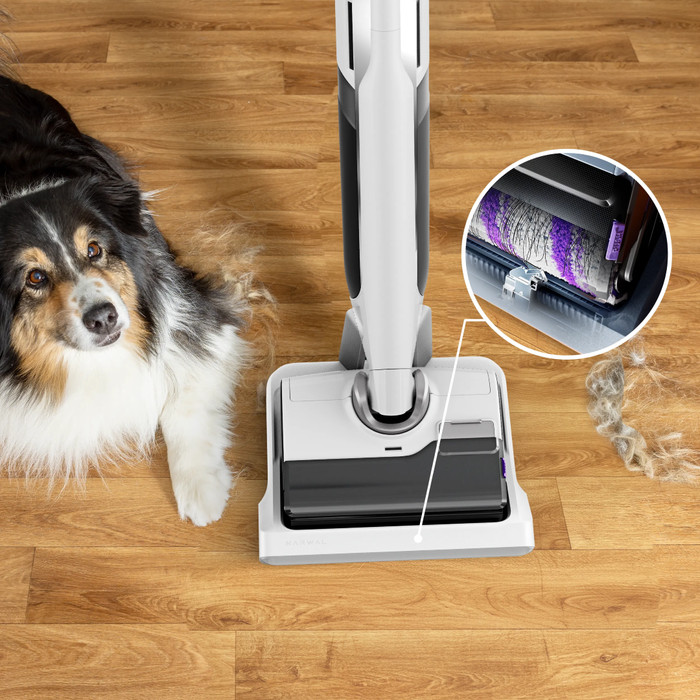 Rowenta X-Clean 12 GZ7267 visueller lieferant